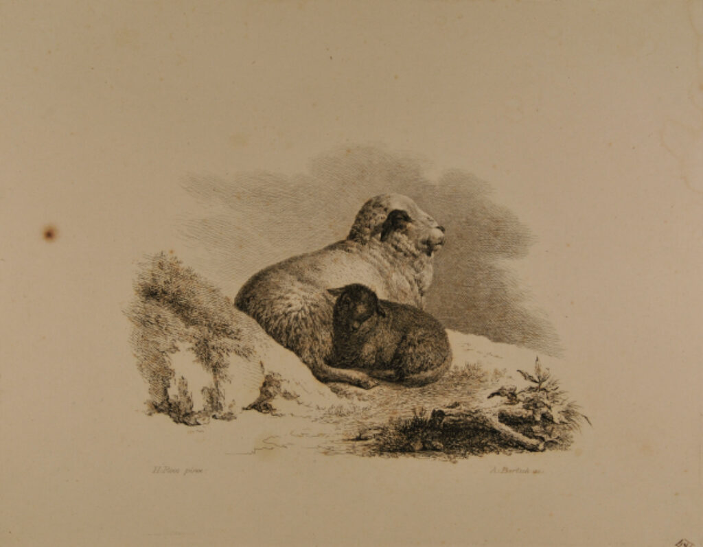 Groupes d ‘Animaux (A sheep and lamb lying together by a hillock)