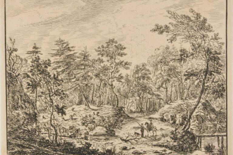 Woods with Pedestrian and Rider