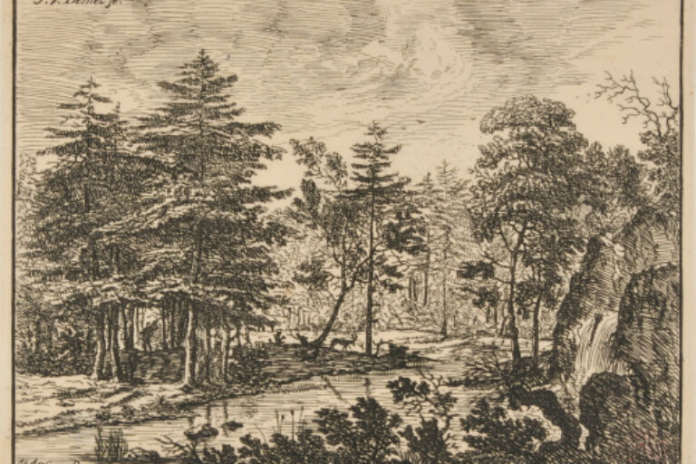 DEER IN THE WOODS BY A RIVER