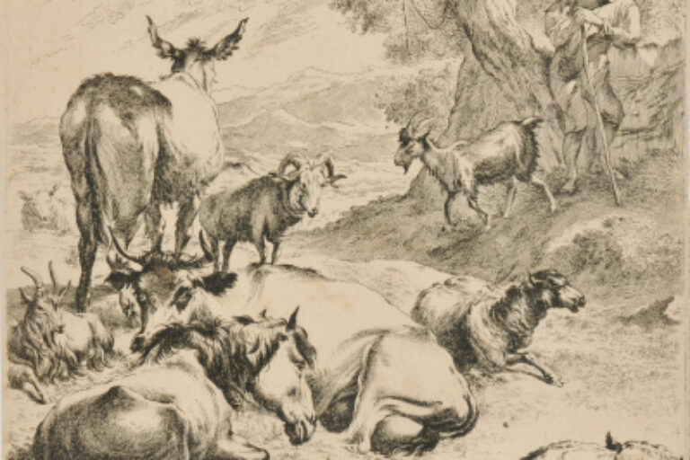 THE HERD AT REST