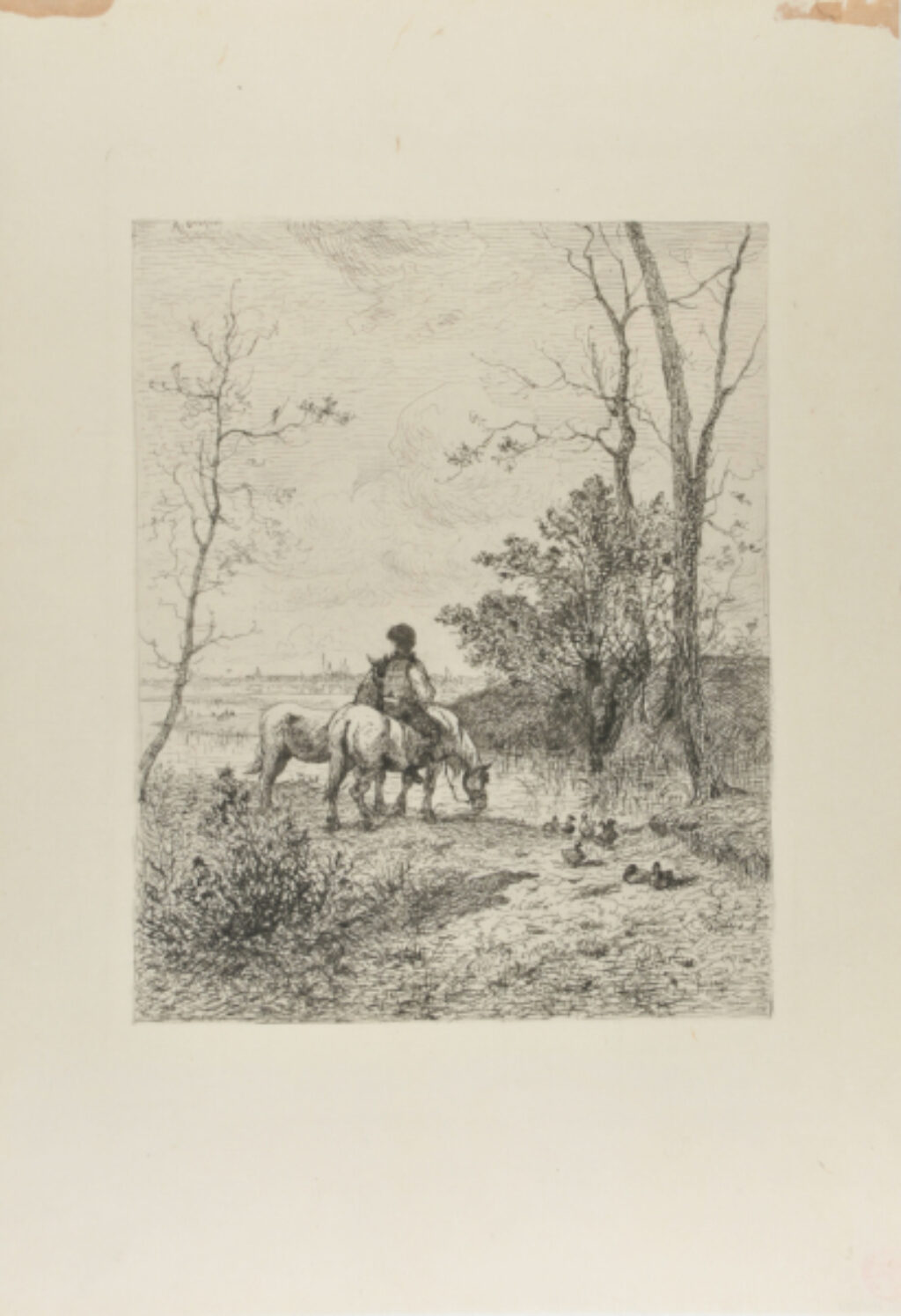 The Horses of Father Vincent - Image 2