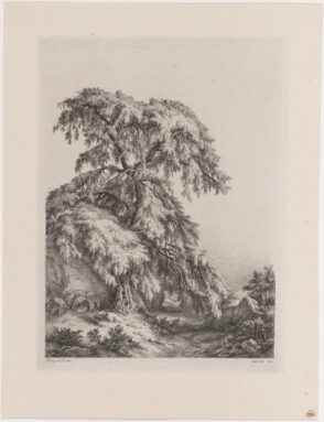 Le Genevrier (The Juniper Tree)
