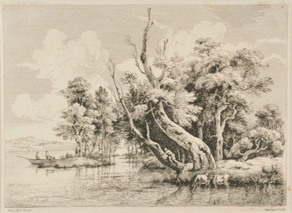 The Angler - Image 2