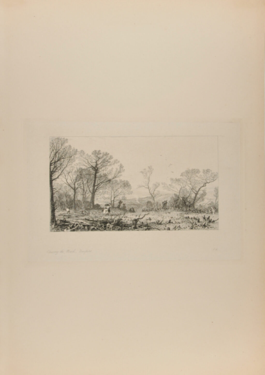 Clearing the Wood, Beesfield