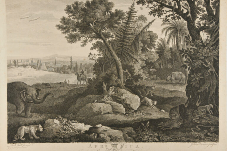 Africa