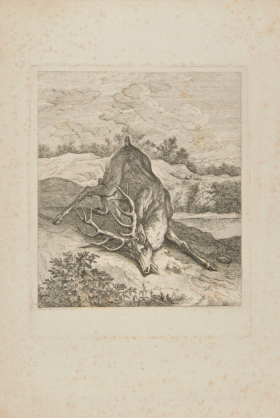 Elizabeth Sheridan Carey