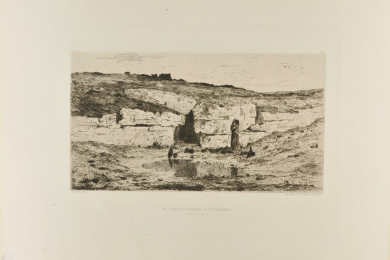 Un Terrier de Renard A Chateauneuf