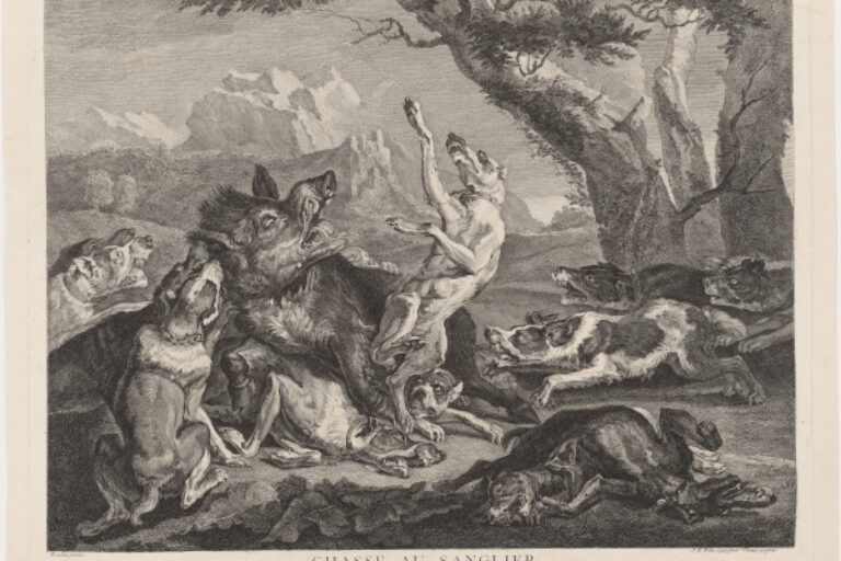 THE WILD BEAR HUNT