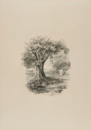 Landscape with Large Oak by a Stream