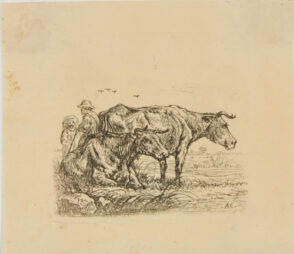 Two Cows, One Standing Behind Another Lying Down