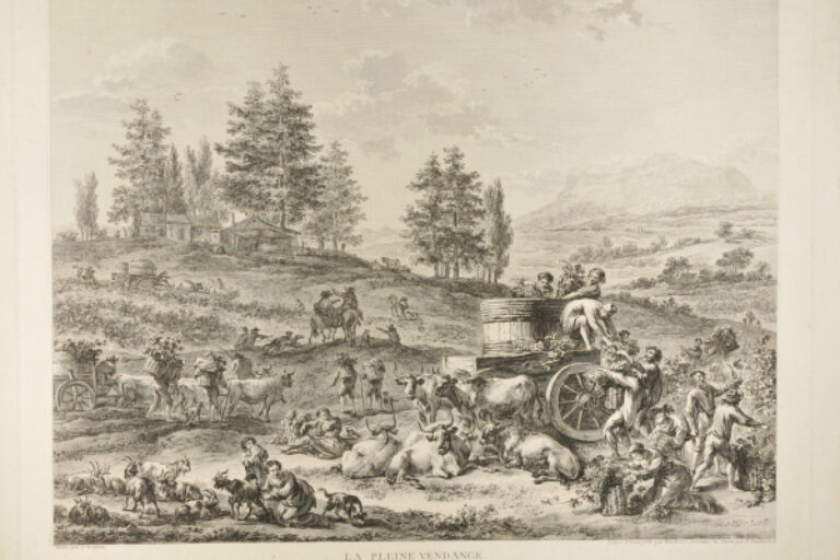 LA PLEINE VENDANGE (THE FULL HARVEST)