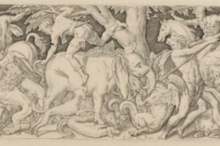 COMBAT BETWEEN MEN AND ANIMALS