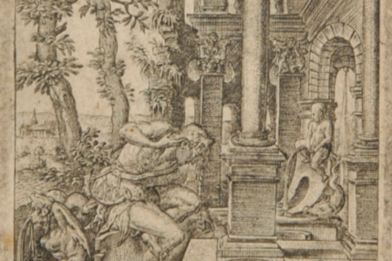 NARCISSUS