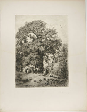 Barn Yard with Large Tree