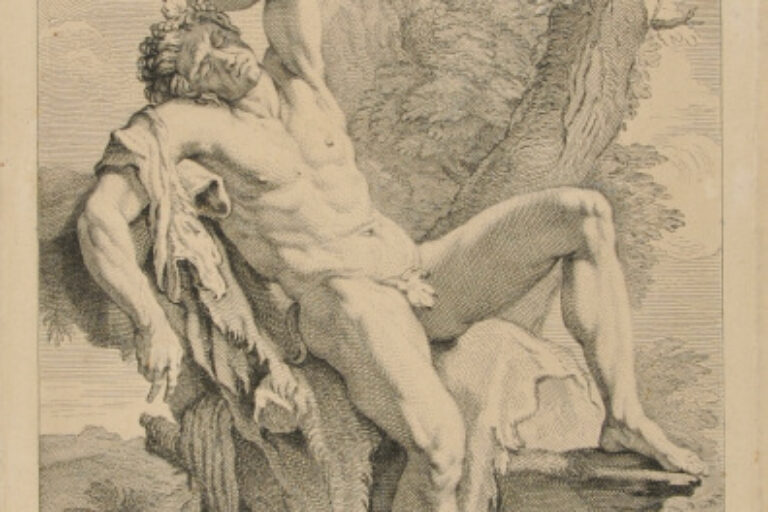 Faune