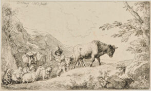 Herd Climbing Uphill