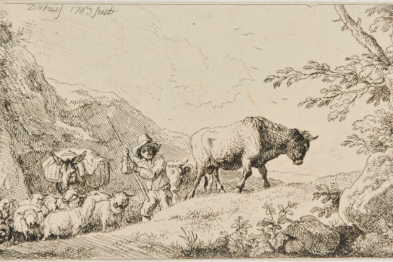 HERD CLIMBING UPHILL
