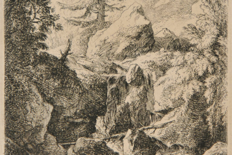 THE FOREST STREAM