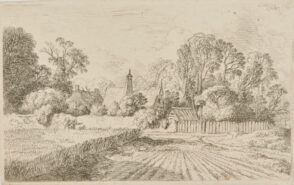 Path Through a Cornfield