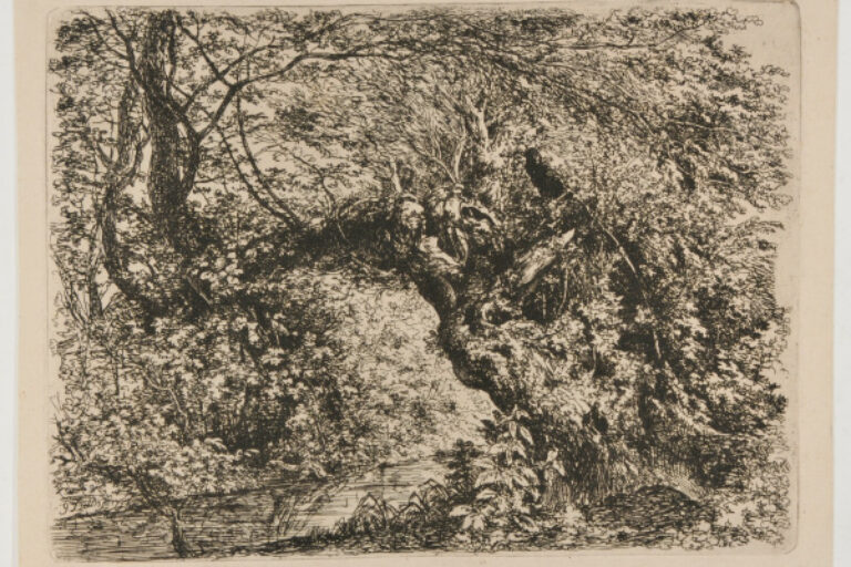 THE OLD WILLOW BY THE STREAM
