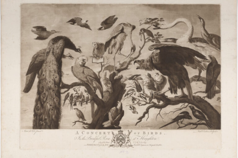 A Concert of Birds