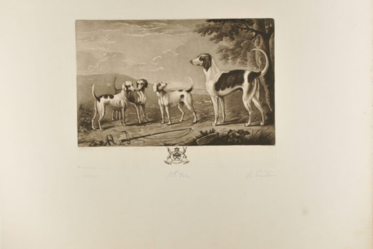 Hounds