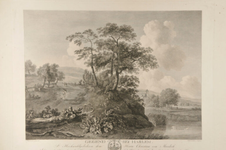 VIEW NEAR HAARLEM