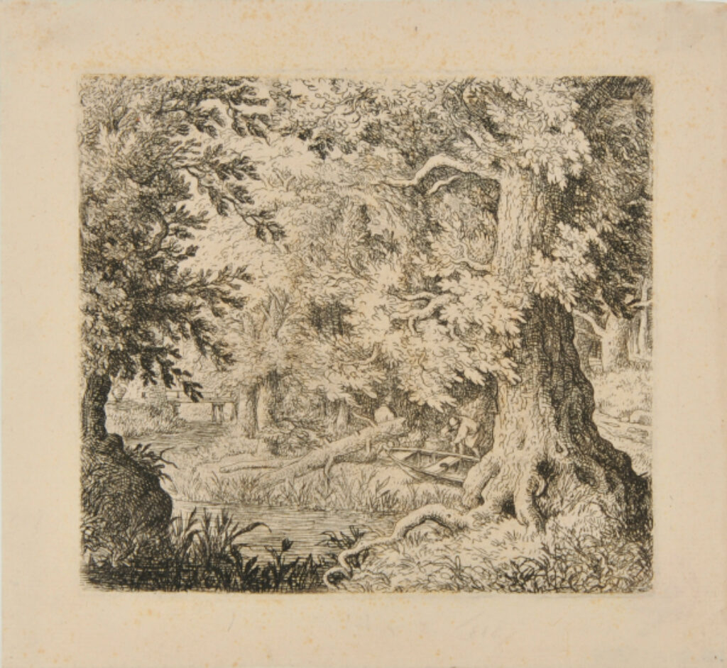 The Brook in the Woods