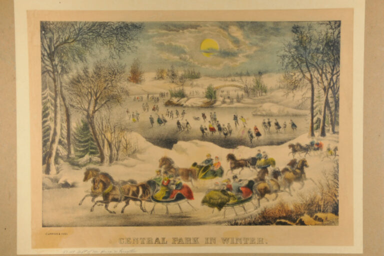 CENTRAL PARK IN WINTER
