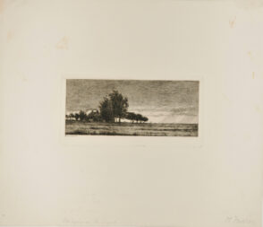 A November Day, Cedar Trees by the Roadside