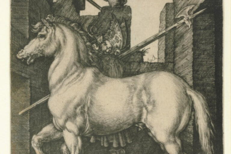 THE SMALL HORSE