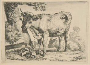 Cow Standing by Tree at Left