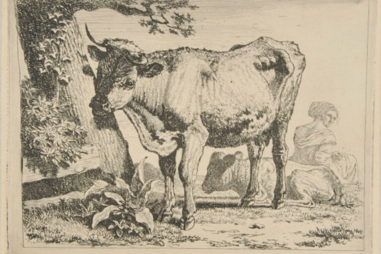COW STANDING BY TREE AT LEFT