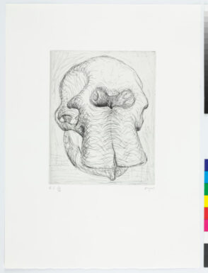 Plate I from the book “Elephant Skull”