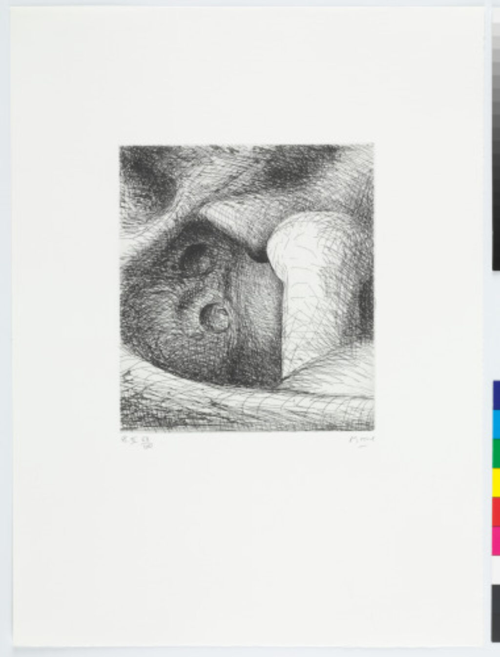 Plate II from the book “Elephant Skull”