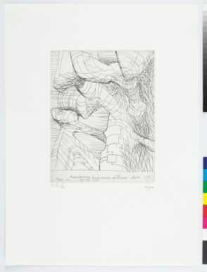 Plate V from the book “Elephant Skull”