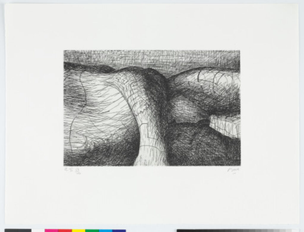 Plate VI from the book “Elephant Skull”