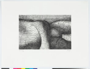 Plate VI from the book “Elephant Skull”