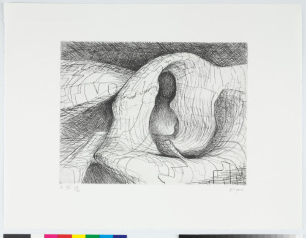 Plate VIII from the book “Elephant Skull”