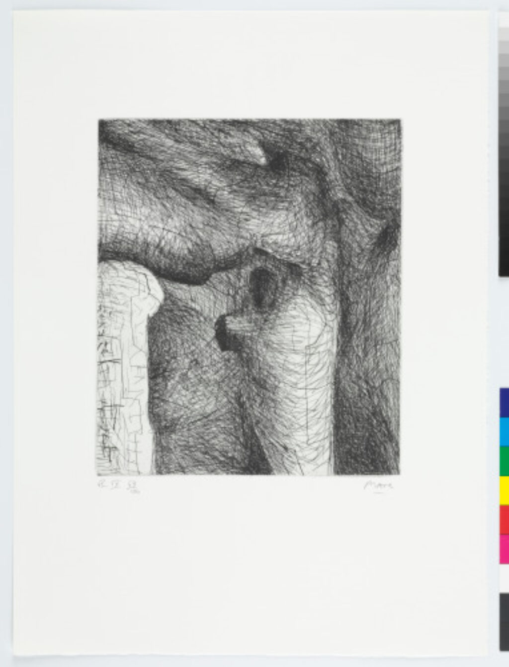 Plate IX from the book “Elephant Skull”