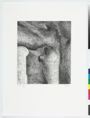 Plate IX from the book “Elephant Skull”