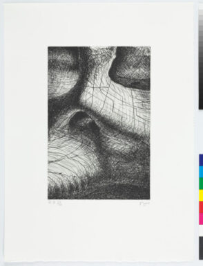 Plate X from the book “Elephant Skull”