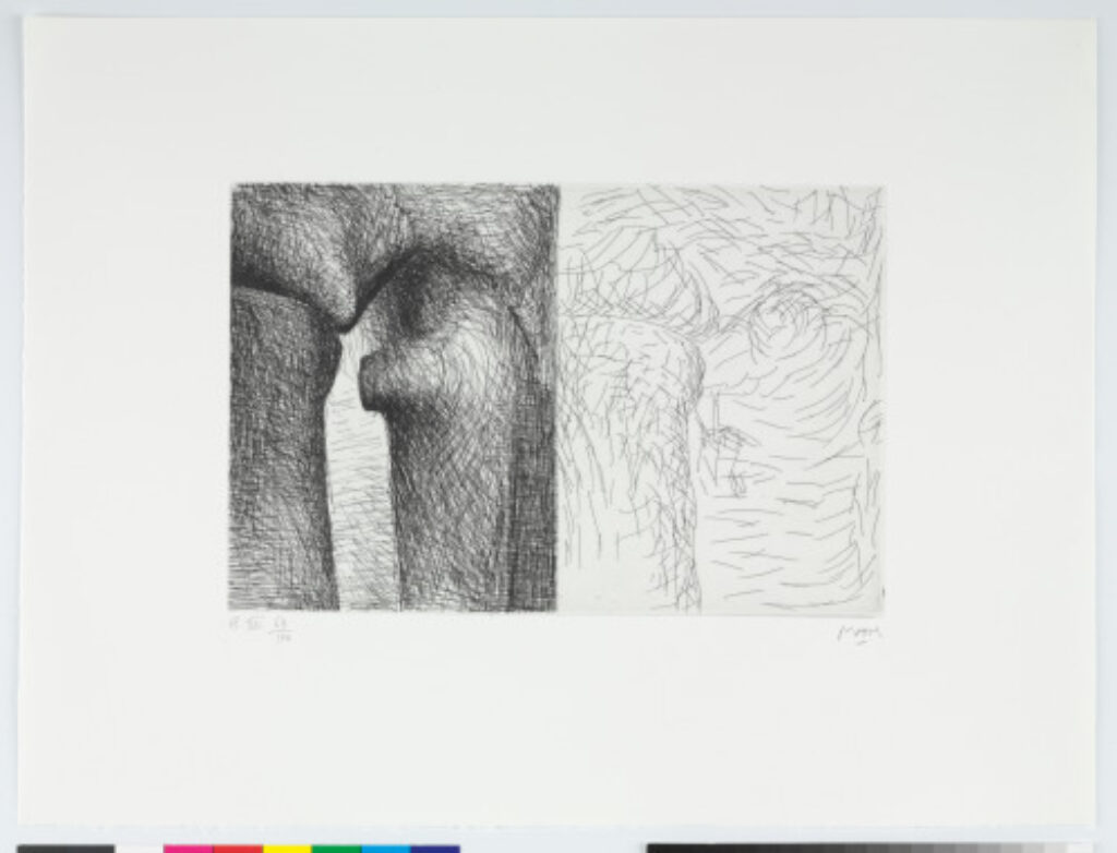 From the “Elephant Skull Album”