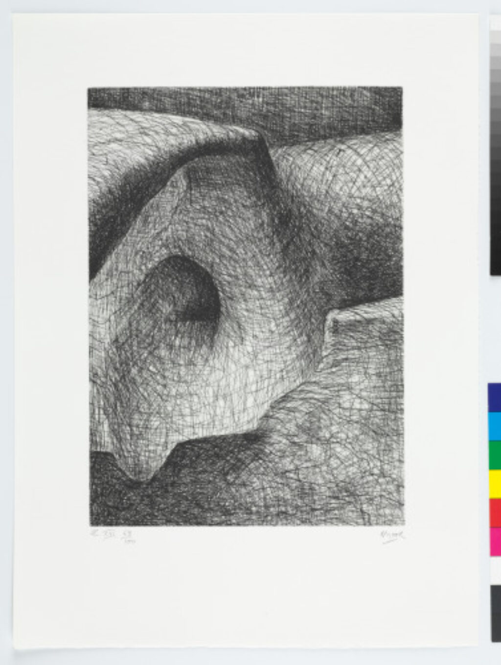 From the “Elephant Skull Album”