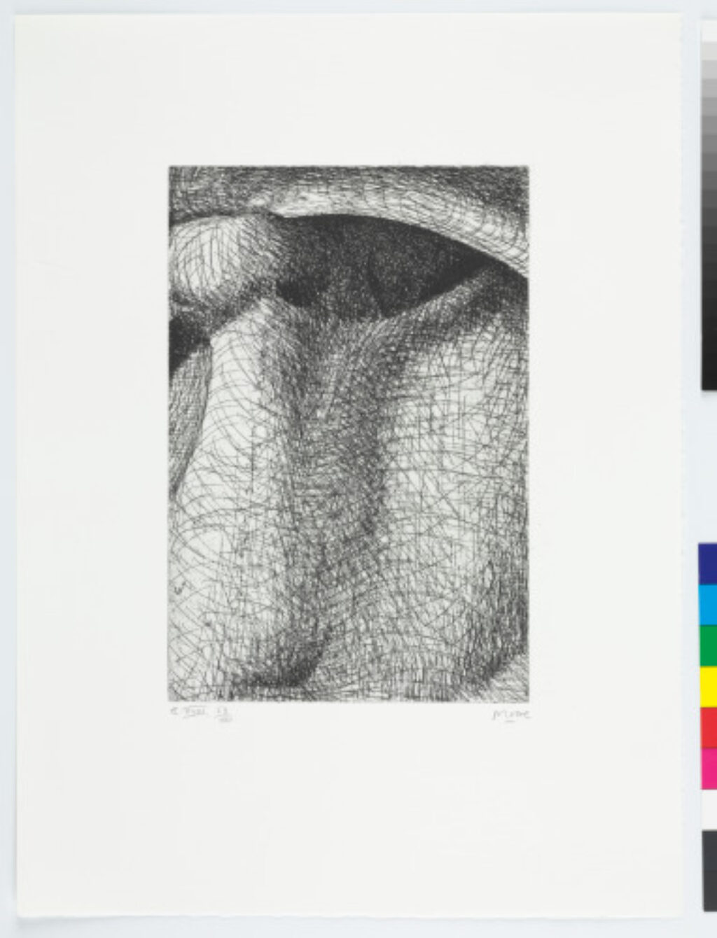 From the “Elephant Skull Album”