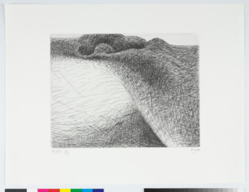 From the “Elephant Skull Album”