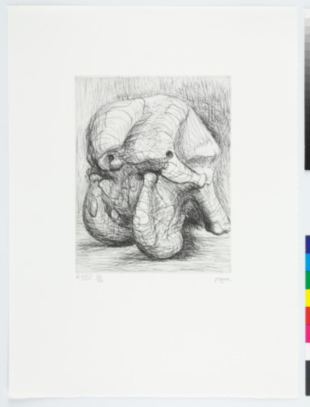 Elephant Skull Album