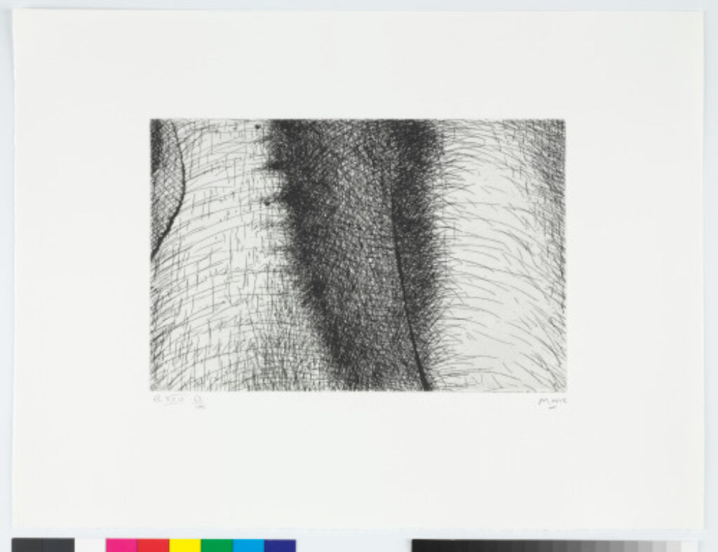 From the “Elephant Skull Album”