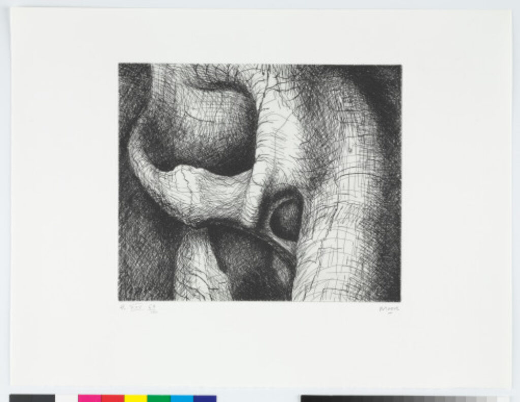 From the “Elephant Skull Album”