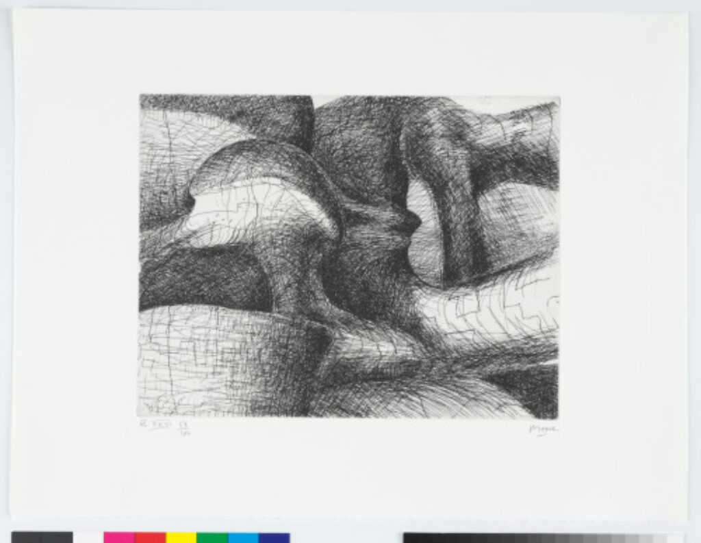 From the “Elephant Skull Album”